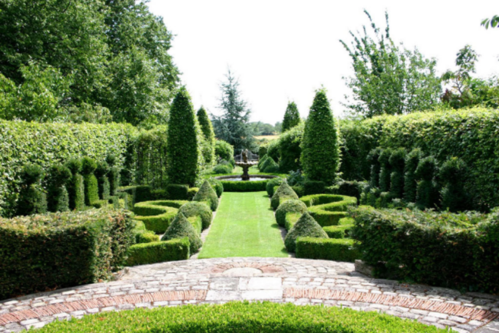 Decorating Tips For a Dreamy French Autumnal Backyard