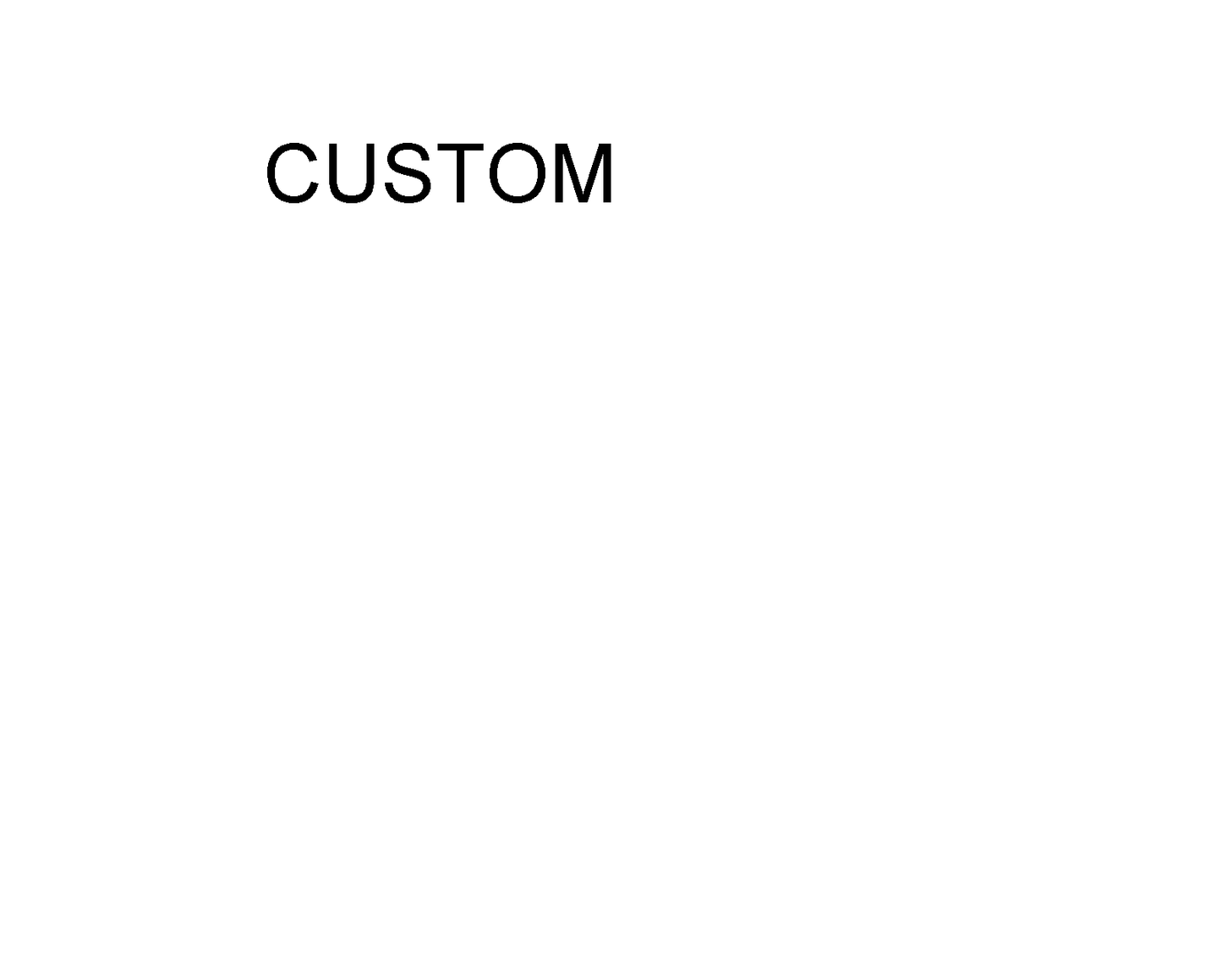NPC 3001 - CUSTOM